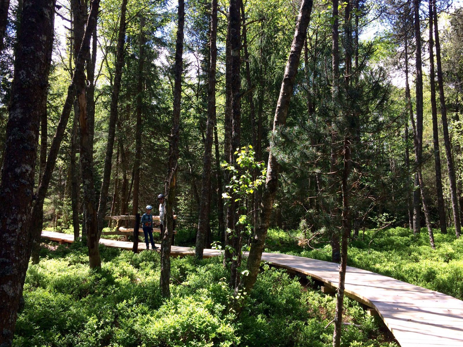 excursion tourbières à la vallée de joux